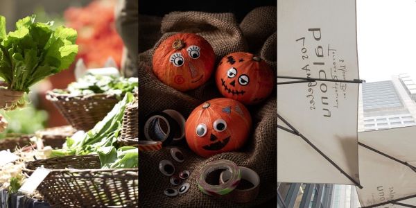 テラスコンテンツ